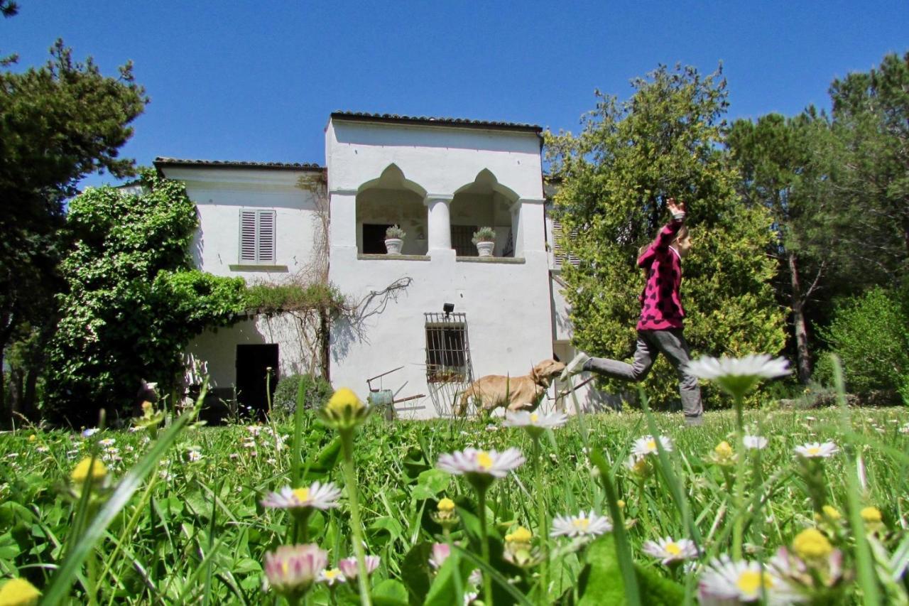 Agriturismo "Borgo Madonna Degli Angeli" - Charming Cottages In The Gardens ! 토코 다 카사우리아 외부 사진