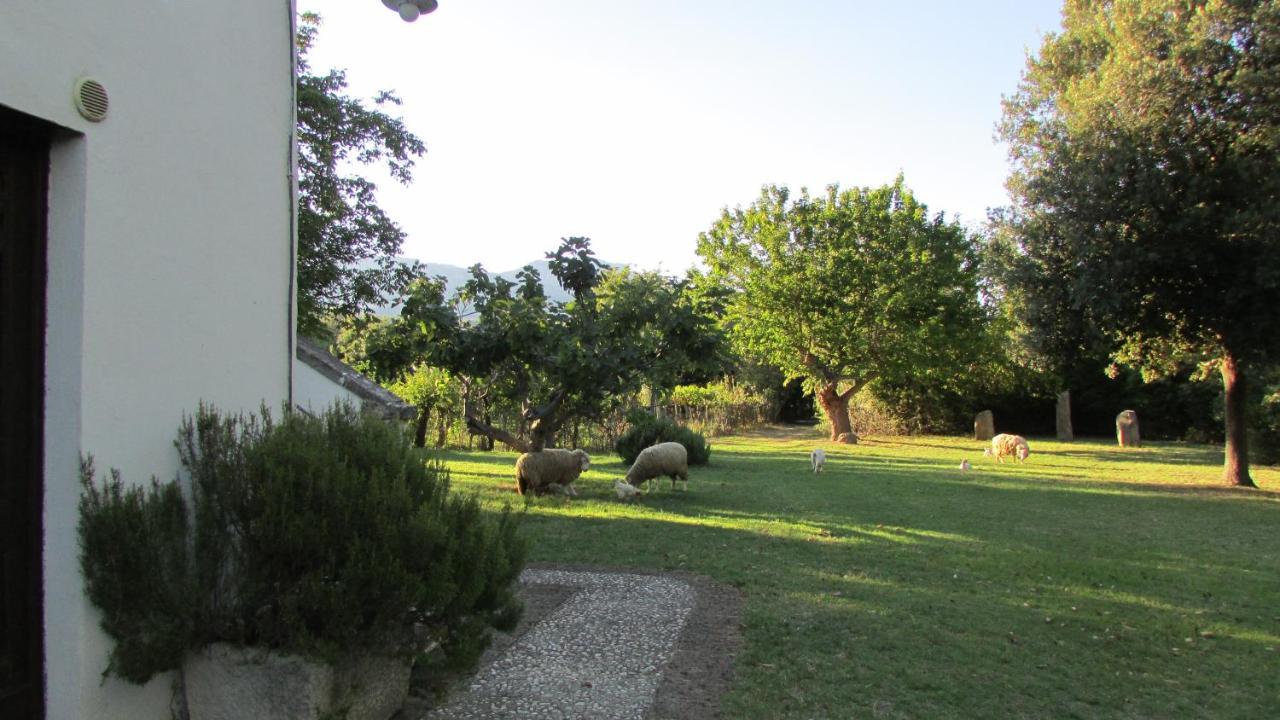 Agriturismo "Borgo Madonna Degli Angeli" - Charming Cottages In The Gardens ! 토코 다 카사우리아 외부 사진