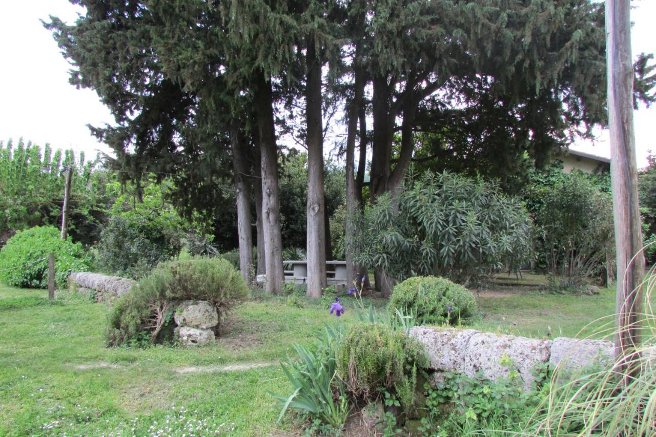 Agriturismo "Borgo Madonna Degli Angeli" - Charming Cottages In The Gardens ! 토코 다 카사우리아 외부 사진