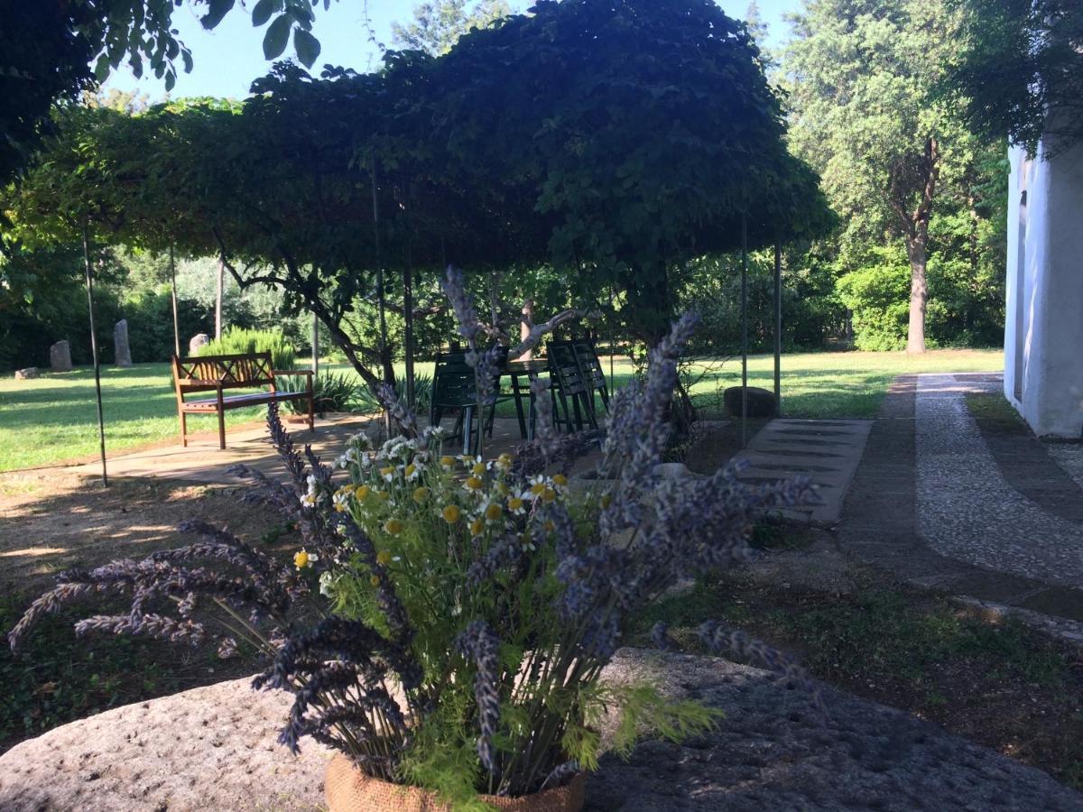 Agriturismo "Borgo Madonna Degli Angeli" - Charming Cottages In The Gardens ! 토코 다 카사우리아 외부 사진