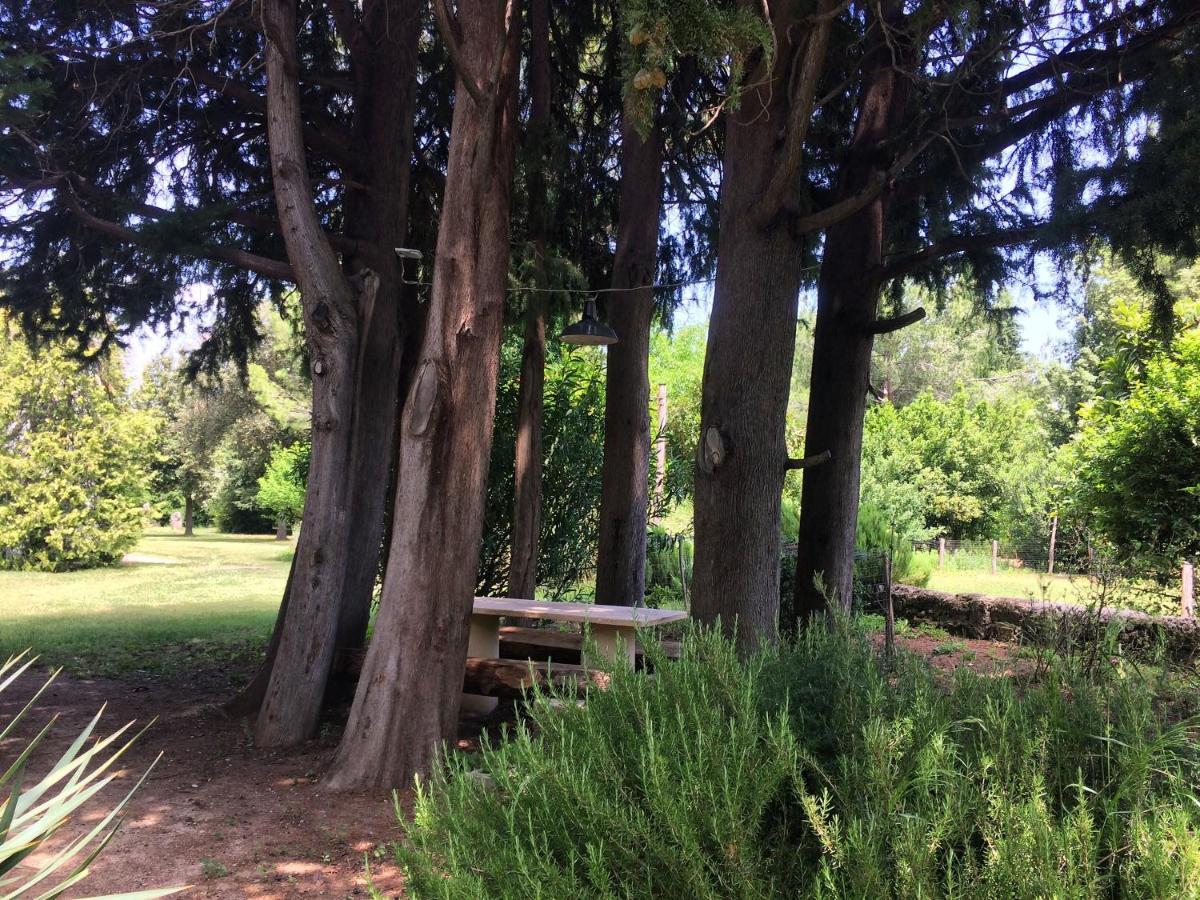 Agriturismo "Borgo Madonna Degli Angeli" - Charming Cottages In The Gardens ! 토코 다 카사우리아 외부 사진
