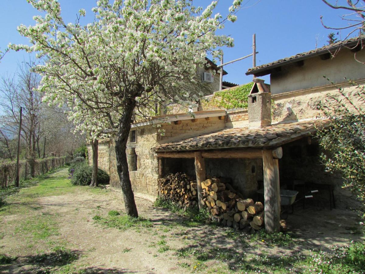 Agriturismo "Borgo Madonna Degli Angeli" - Charming Cottages In The Gardens ! 토코 다 카사우리아 외부 사진