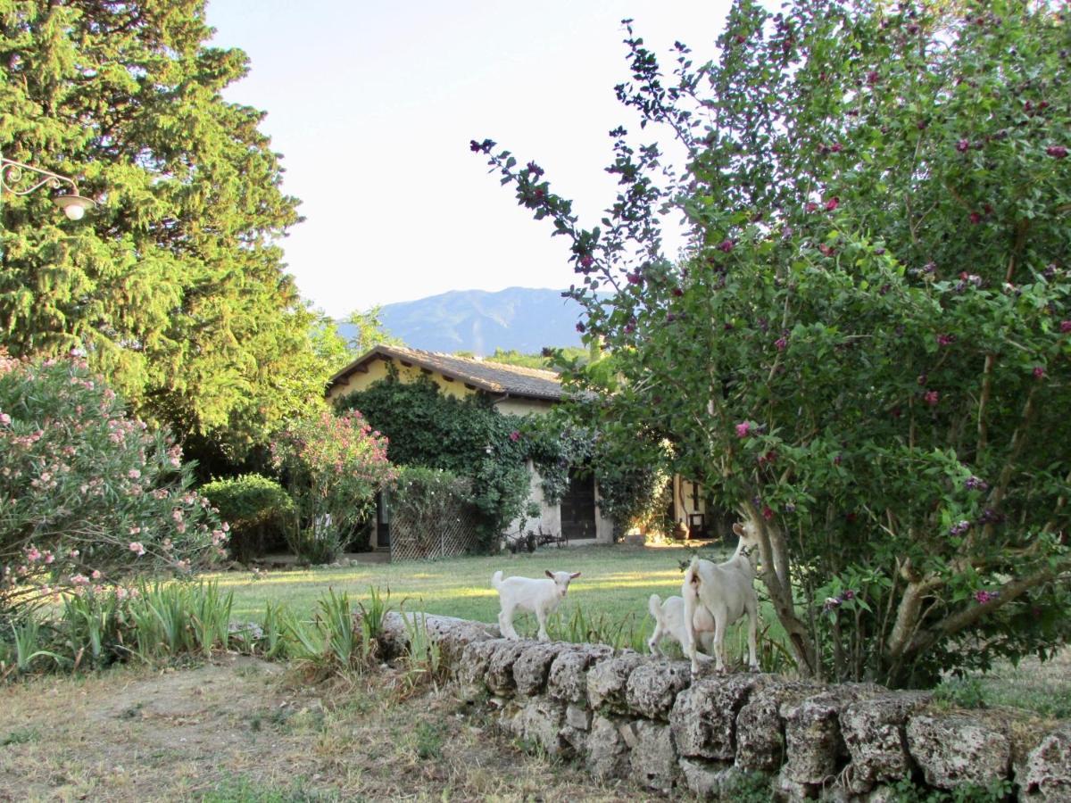 Agriturismo "Borgo Madonna Degli Angeli" - Charming Cottages In The Gardens ! 토코 다 카사우리아 외부 사진