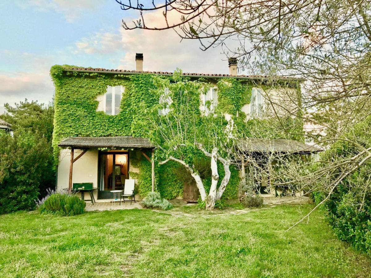 Agriturismo "Borgo Madonna Degli Angeli" - Charming Cottages In The Gardens ! 토코 다 카사우리아 외부 사진