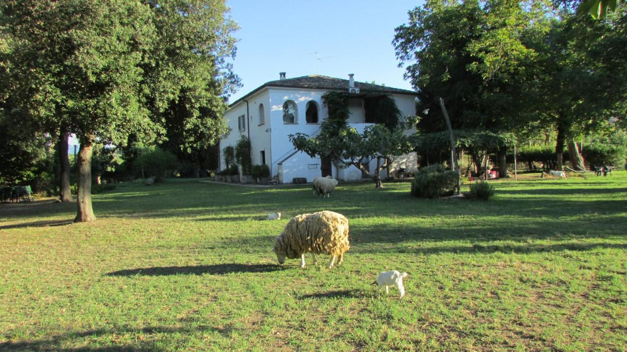 Agriturismo "Borgo Madonna Degli Angeli" - Charming Cottages In The Gardens ! 토코 다 카사우리아 외부 사진