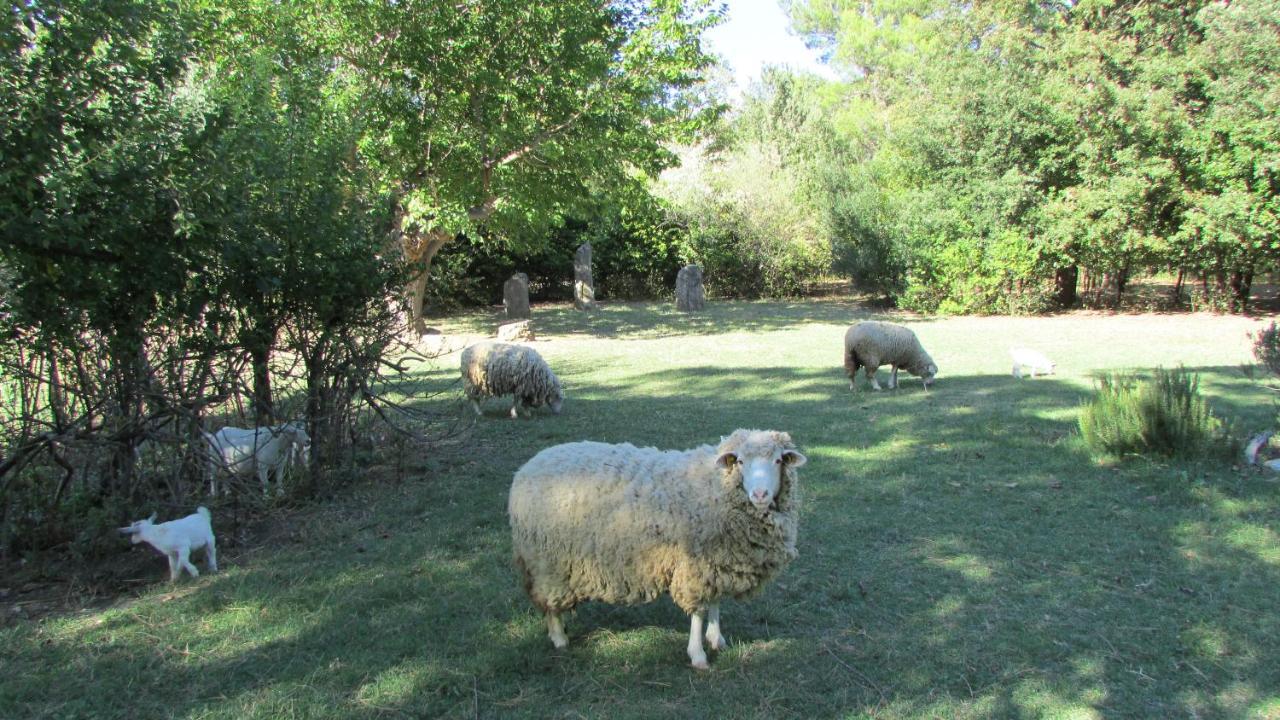 Agriturismo "Borgo Madonna Degli Angeli" - Charming Cottages In The Gardens ! 토코 다 카사우리아 외부 사진