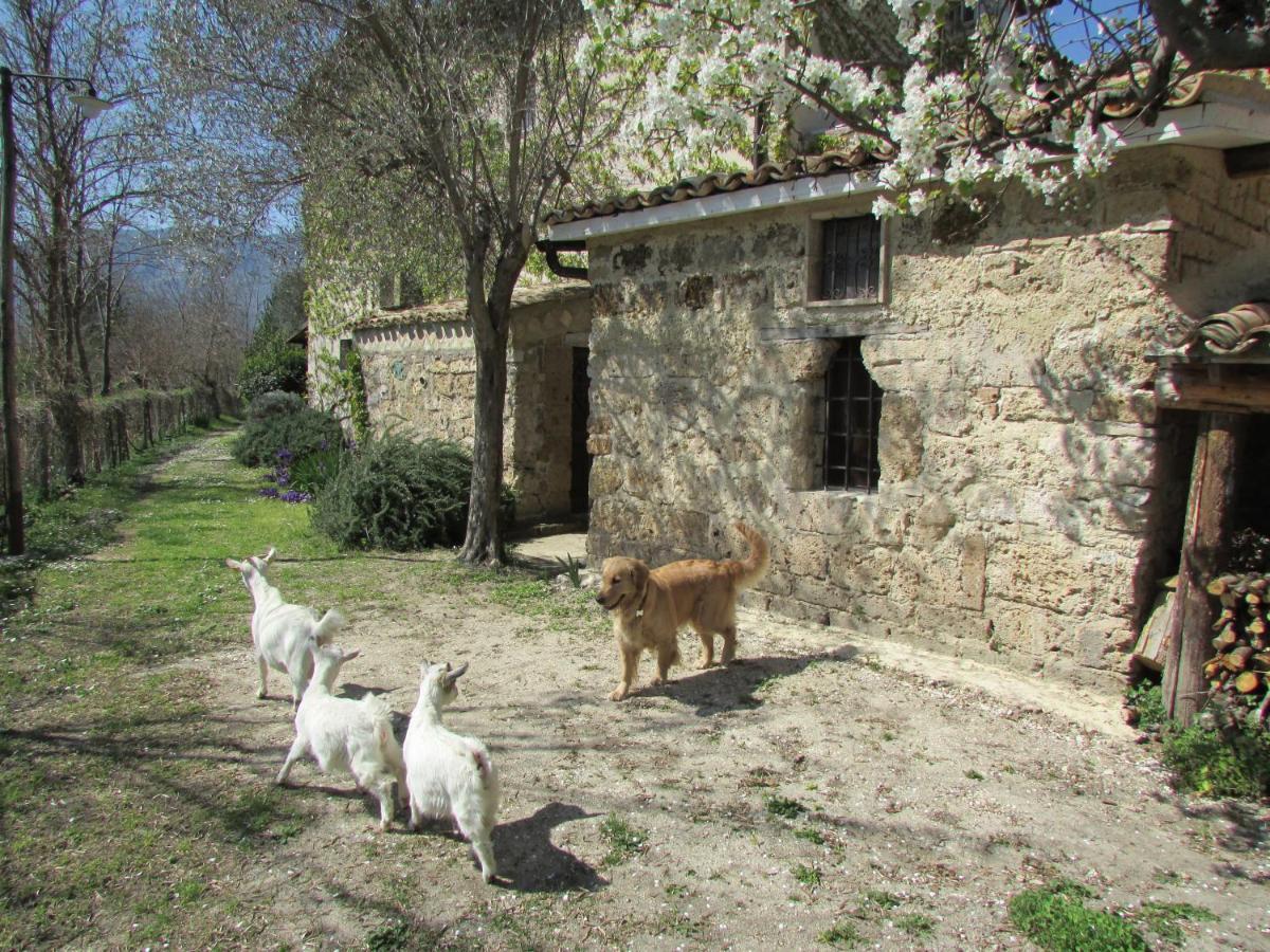 Agriturismo "Borgo Madonna Degli Angeli" - Charming Cottages In The Gardens ! 토코 다 카사우리아 외부 사진