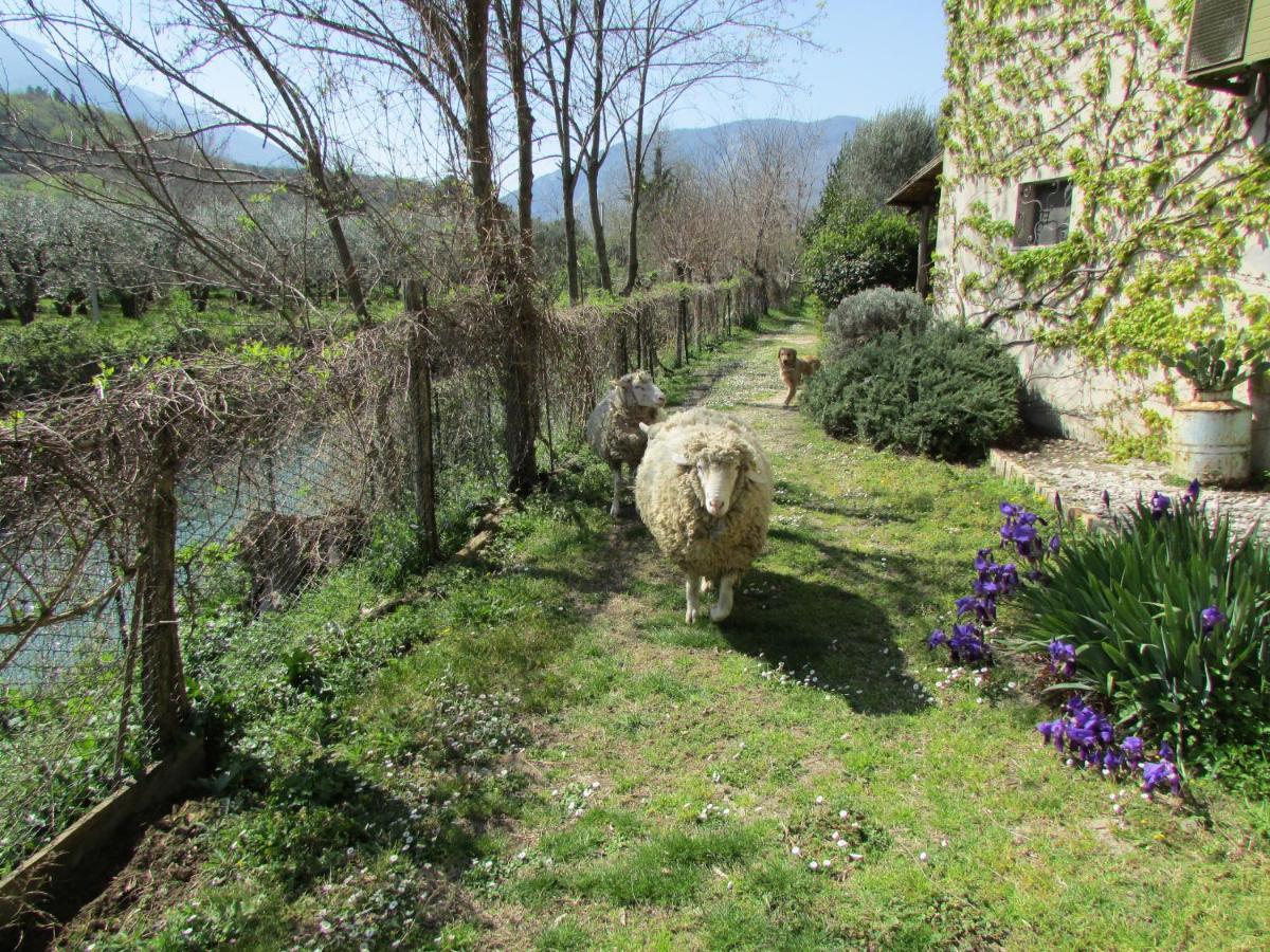 Agriturismo "Borgo Madonna Degli Angeli" - Charming Cottages In The Gardens ! 토코 다 카사우리아 외부 사진