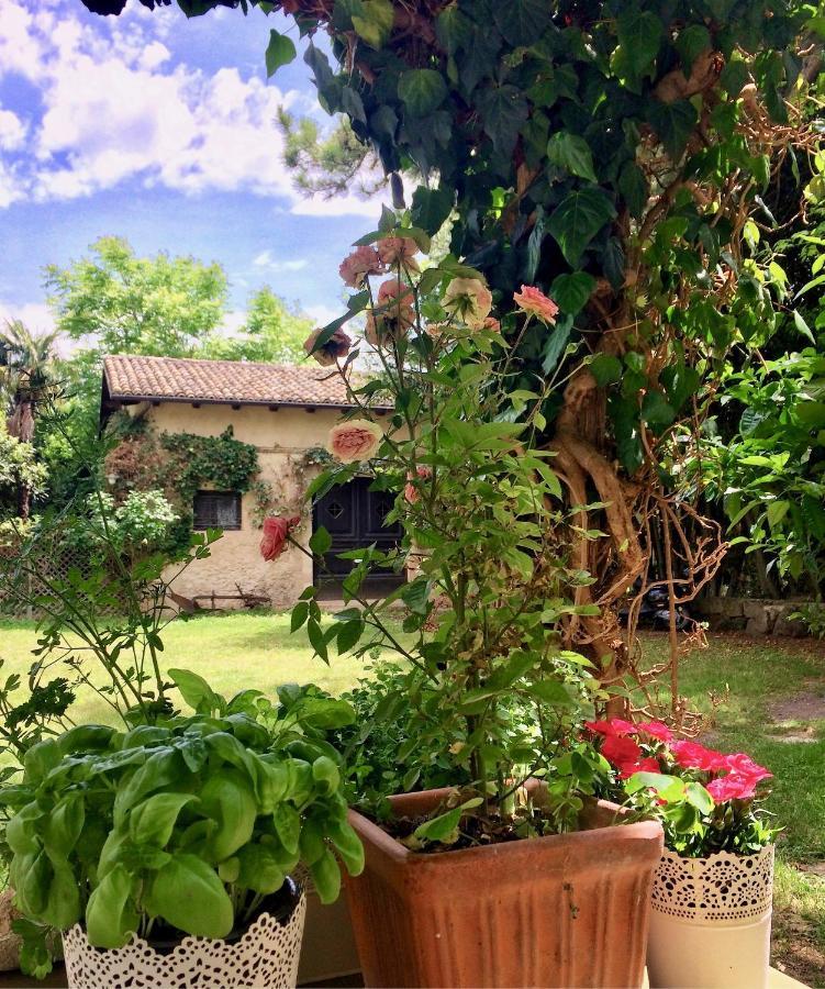 Agriturismo "Borgo Madonna Degli Angeli" - Charming Cottages In The Gardens ! 토코 다 카사우리아 외부 사진