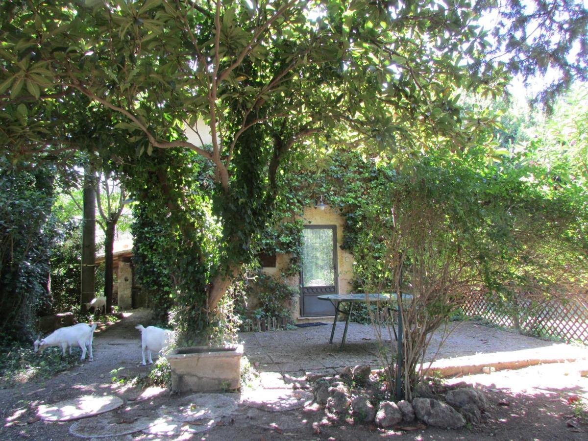 Agriturismo "Borgo Madonna Degli Angeli" - Charming Cottages In The Gardens ! 토코 다 카사우리아 외부 사진