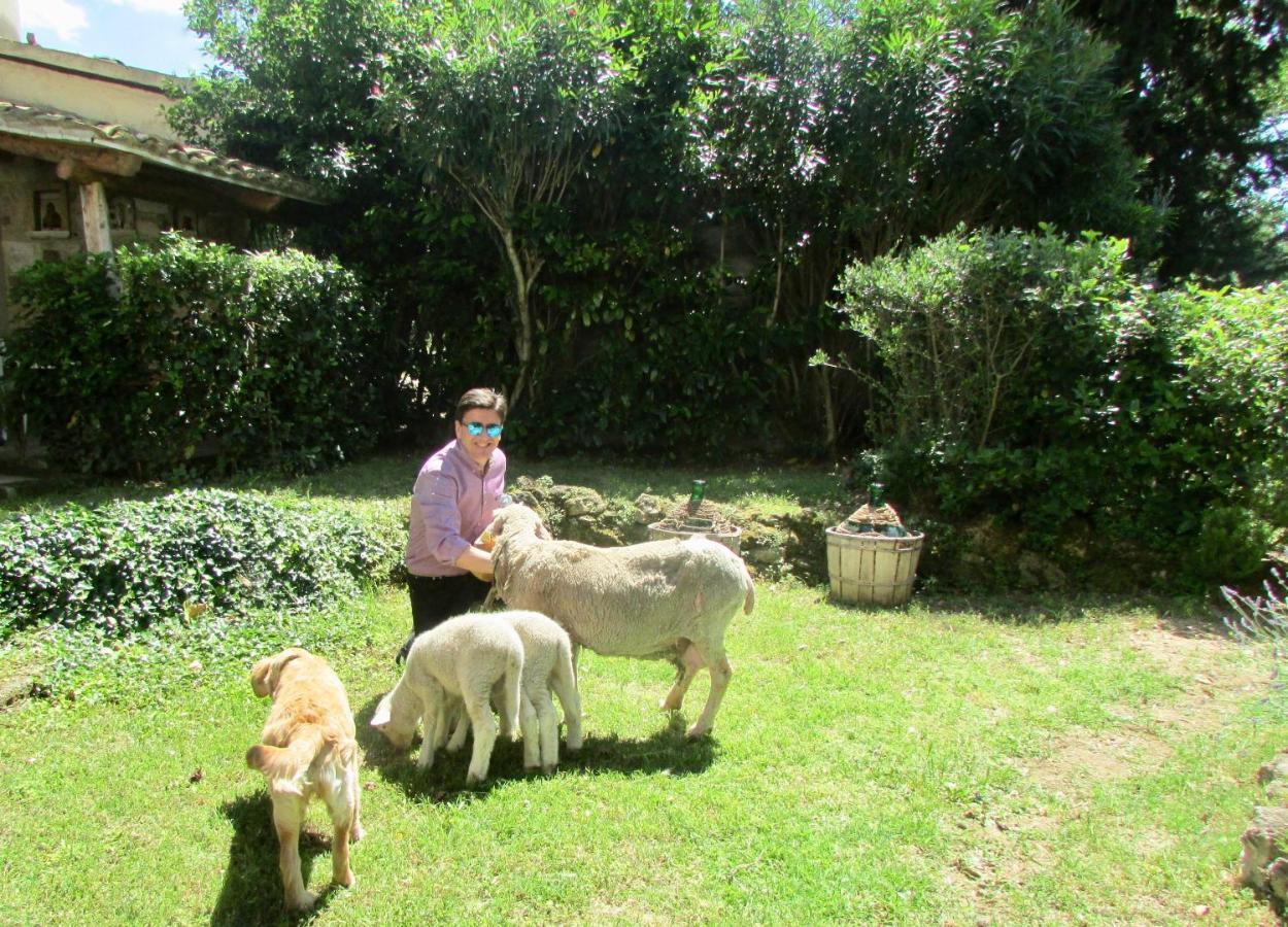 Agriturismo "Borgo Madonna Degli Angeli" - Charming Cottages In The Gardens ! 토코 다 카사우리아 외부 사진