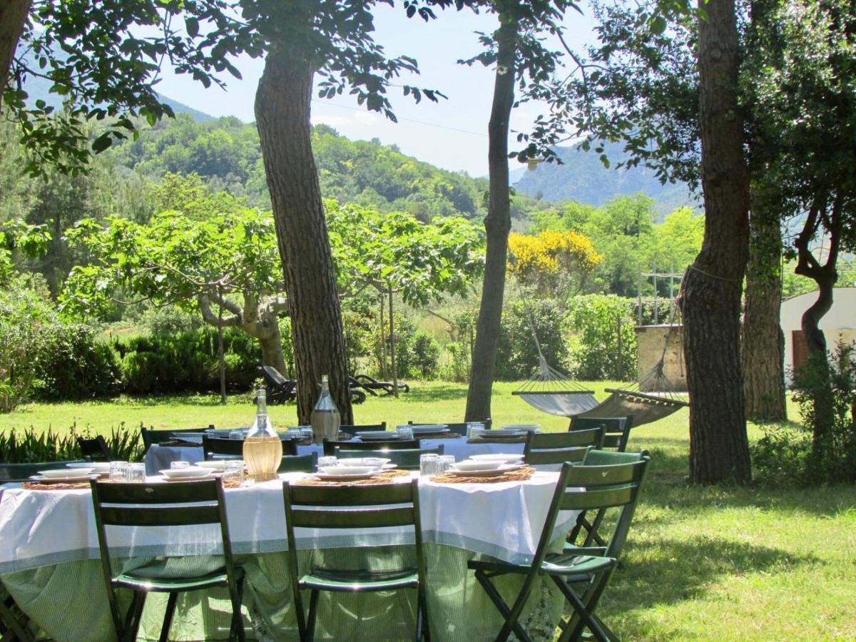 Agriturismo "Borgo Madonna Degli Angeli" - Charming Cottages In The Gardens ! 토코 다 카사우리아 외부 사진