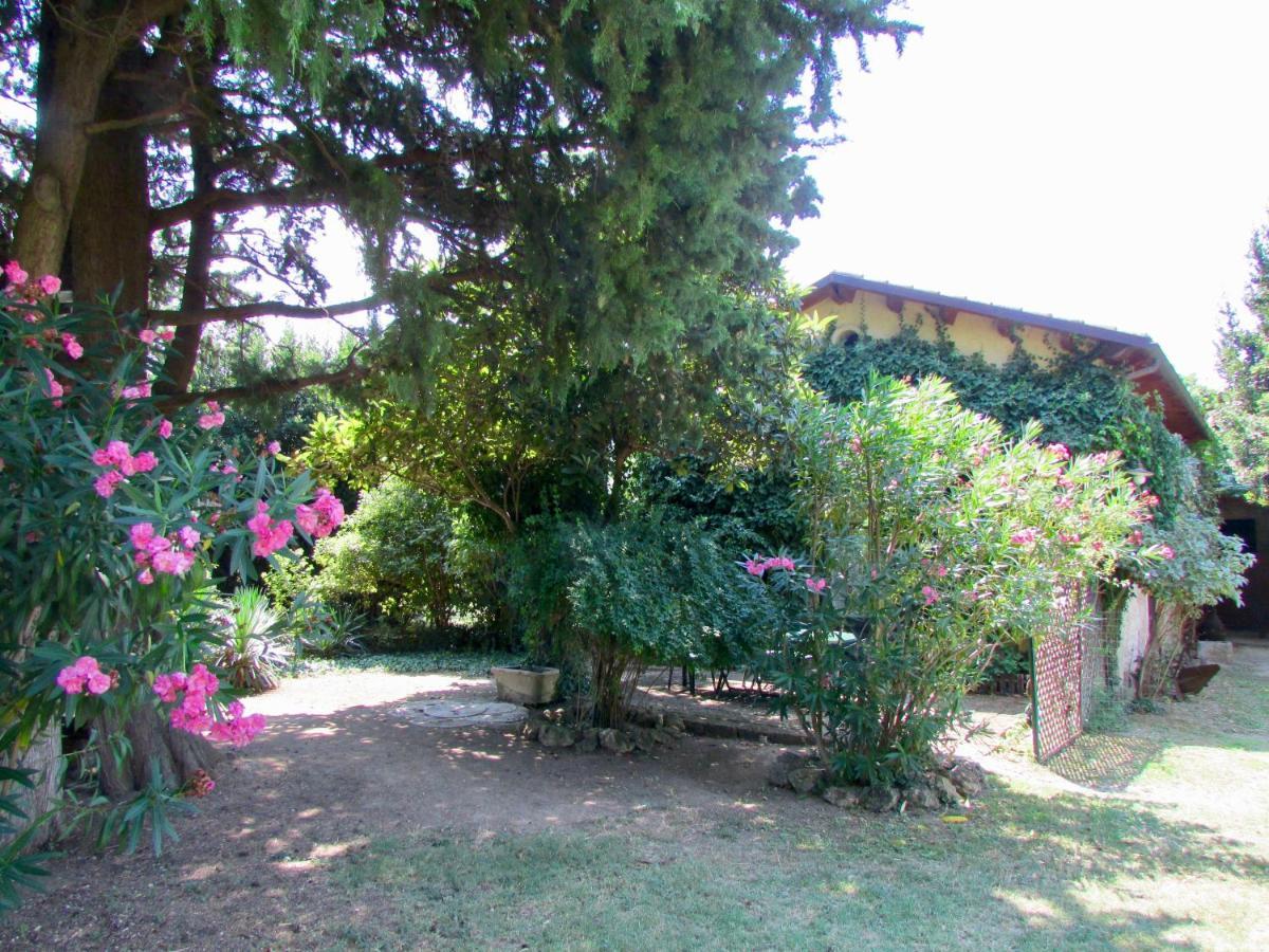 Agriturismo "Borgo Madonna Degli Angeli" - Charming Cottages In The Gardens ! 토코 다 카사우리아 외부 사진