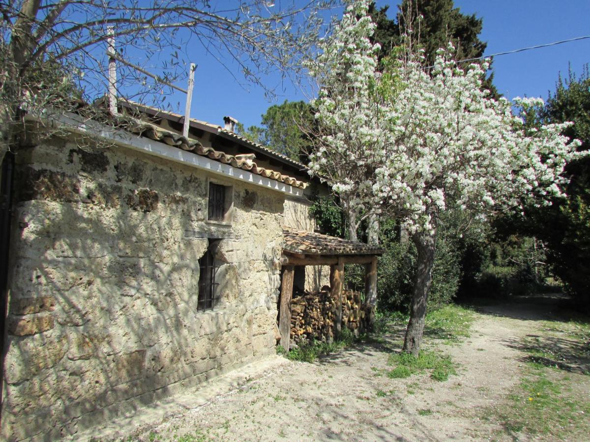 Agriturismo "Borgo Madonna Degli Angeli" - Charming Cottages In The Gardens ! 토코 다 카사우리아 외부 사진