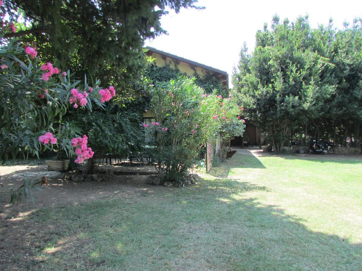 Agriturismo "Borgo Madonna Degli Angeli" - Charming Cottages In The Gardens ! 토코 다 카사우리아 외부 사진