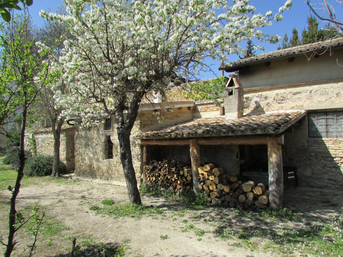 Agriturismo "Borgo Madonna Degli Angeli" - Charming Cottages In The Gardens ! 토코 다 카사우리아 외부 사진