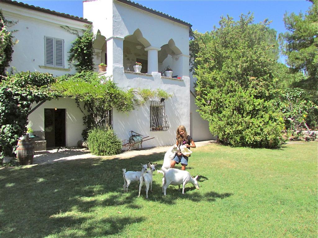 Agriturismo "Borgo Madonna Degli Angeli" - Charming Cottages In The Gardens ! 토코 다 카사우리아 외부 사진