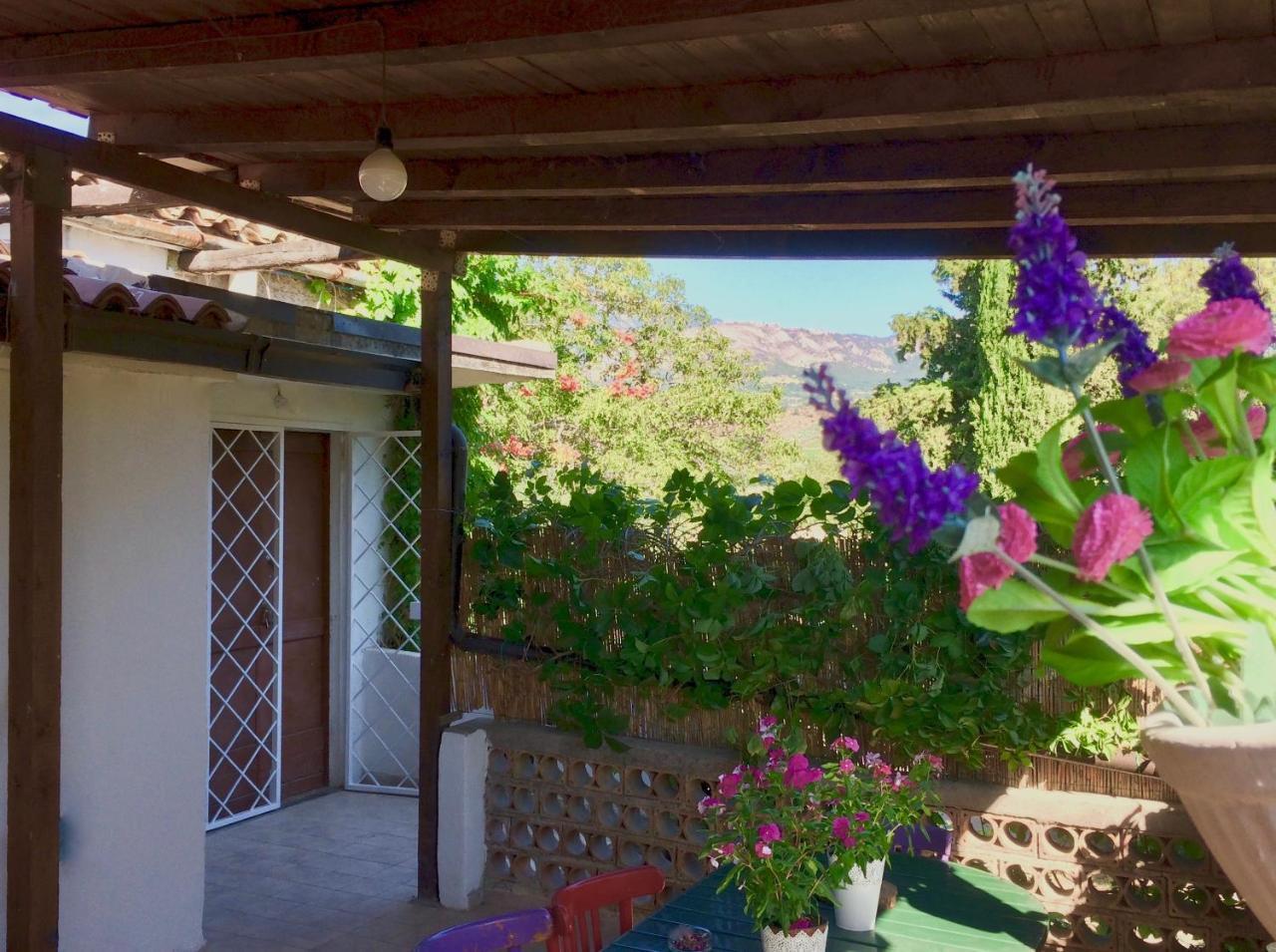 Agriturismo "Borgo Madonna Degli Angeli" - Charming Cottages In The Gardens ! 토코 다 카사우리아 외부 사진