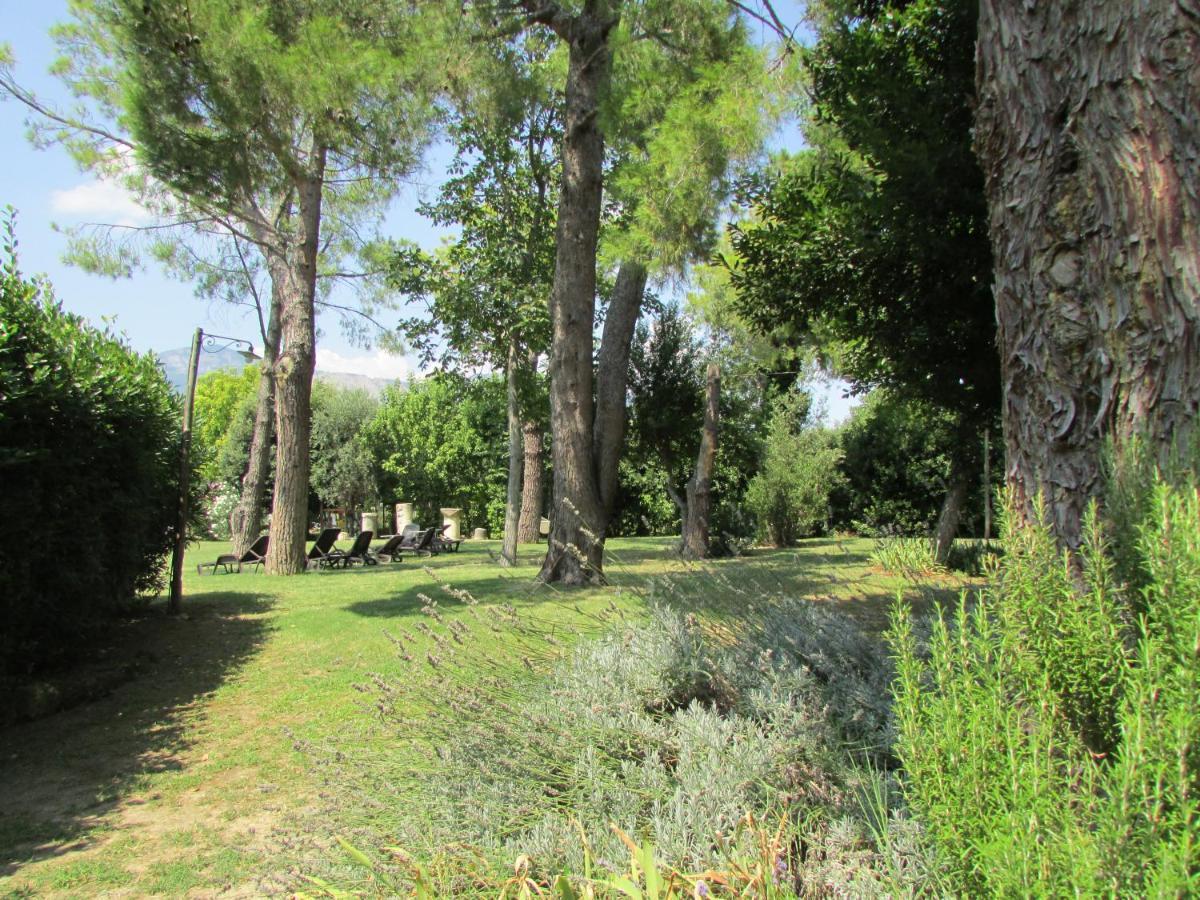 Agriturismo "Borgo Madonna Degli Angeli" - Charming Cottages In The Gardens ! 토코 다 카사우리아 외부 사진